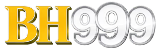 9bh999.com